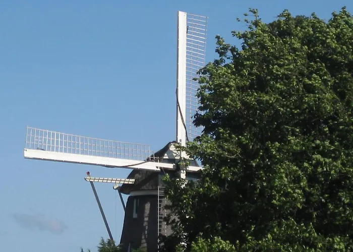 アパート クアレンタ スタジオ