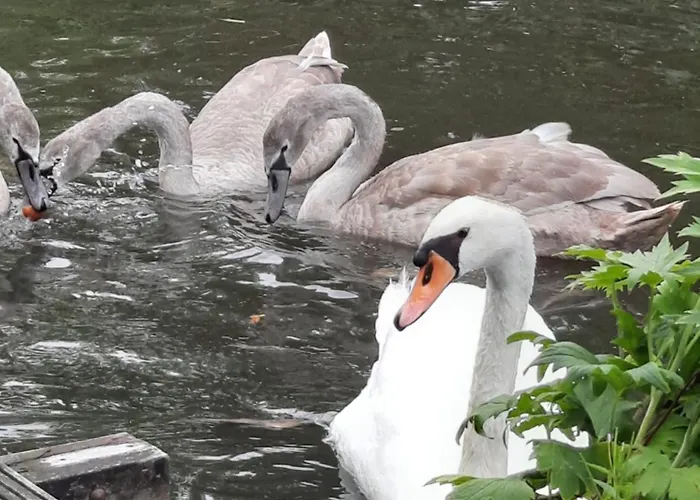 Quarenta Studio Амстердам